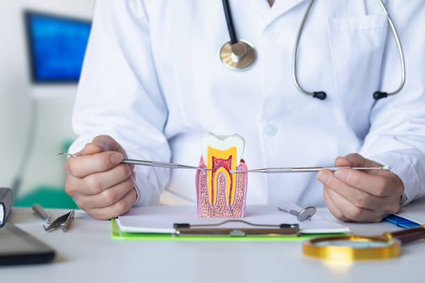 Best Emergency Dentist for Lost Fillings or Crowns in West Carrollton, OH